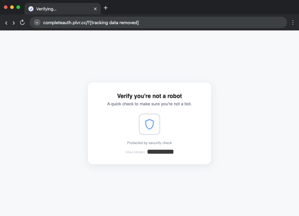 The bot-check page